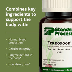Standard Process Ferrofood serving spoon conveys convenient daily use and dosing.