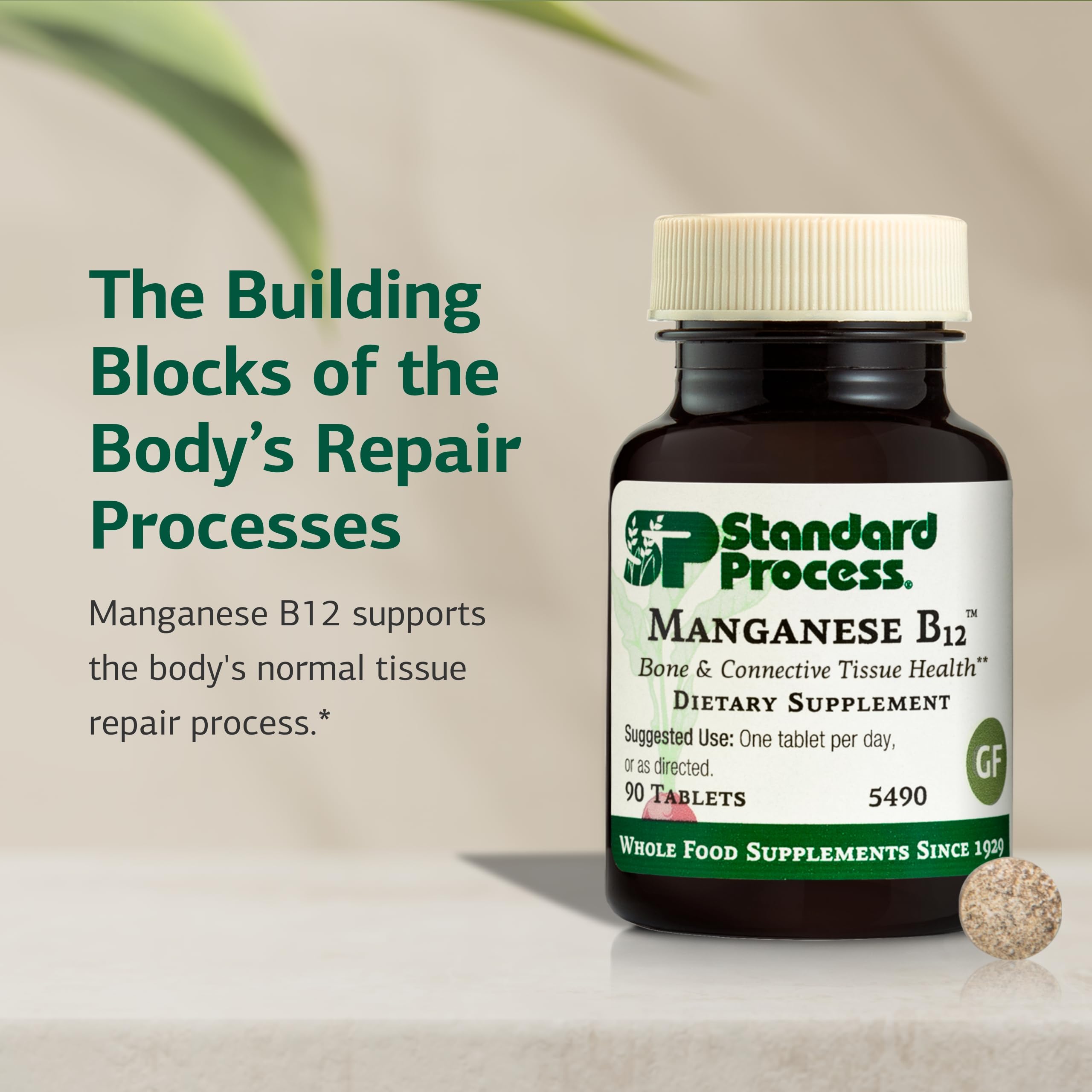 Supports red blood cell function and hemoglobin formation