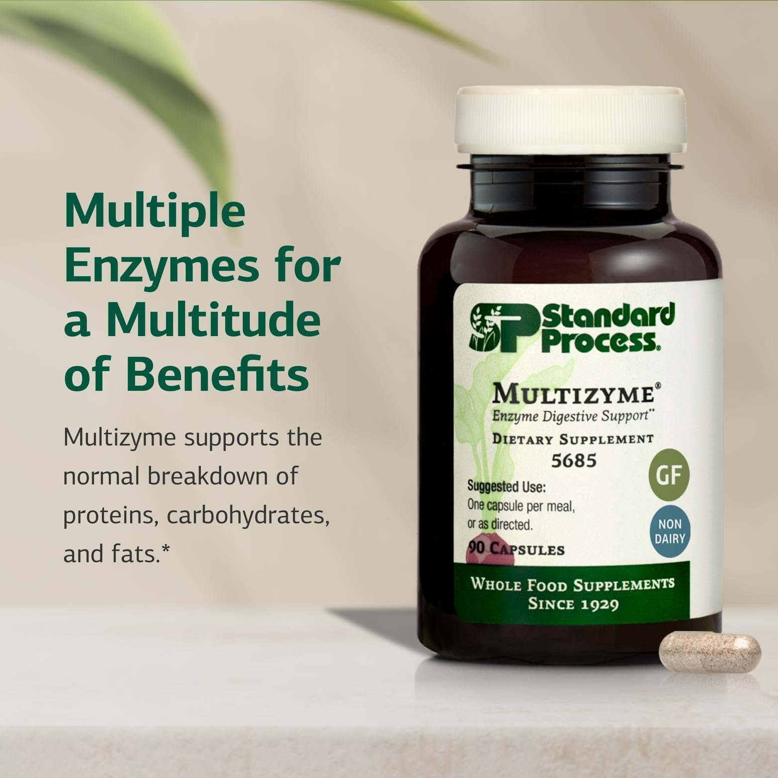 Illustration showing digestive enzymes from Multizyme including pancreatin-based enzymes