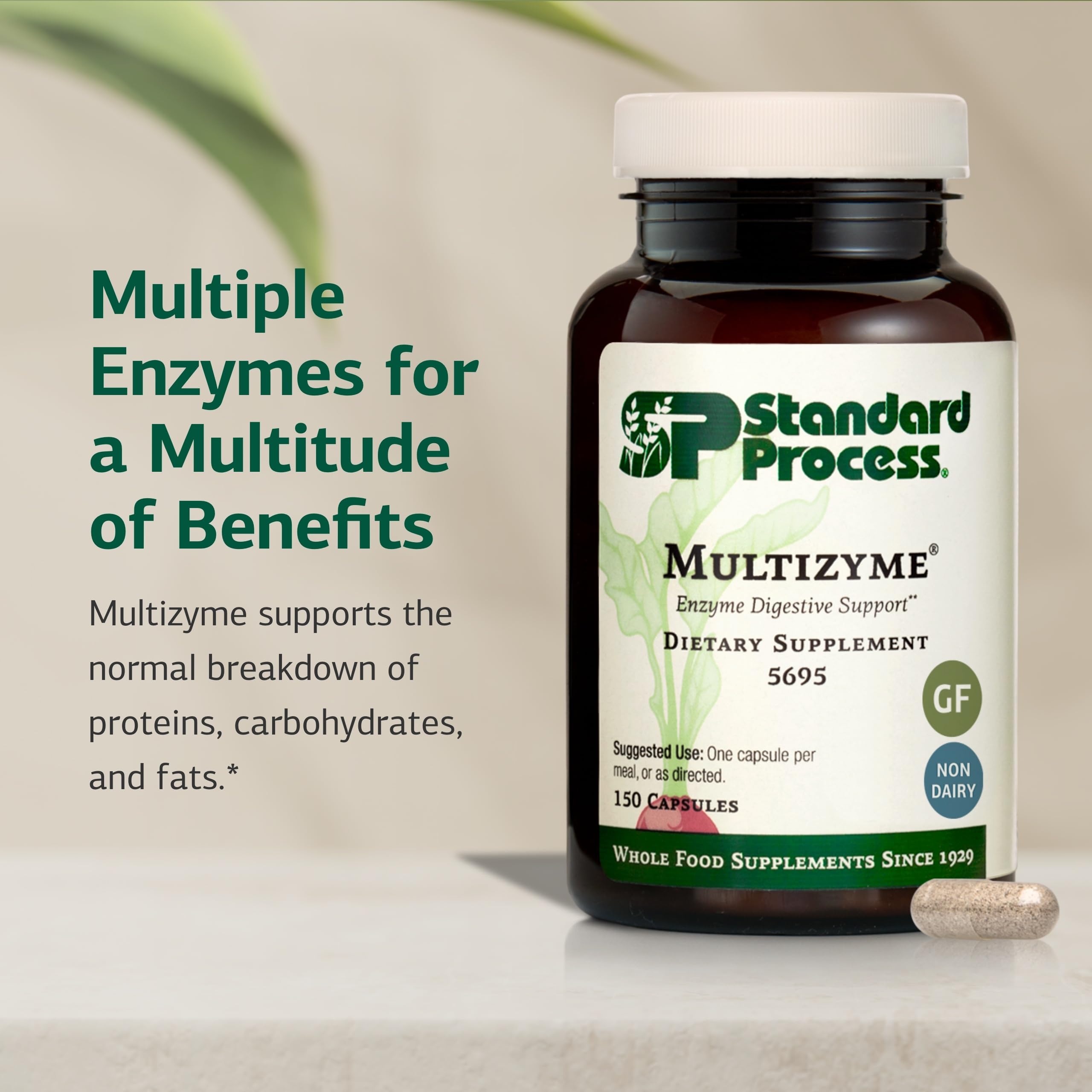 Standard Process Multizyme capsules inside view illustrates convenient daily digestive support.