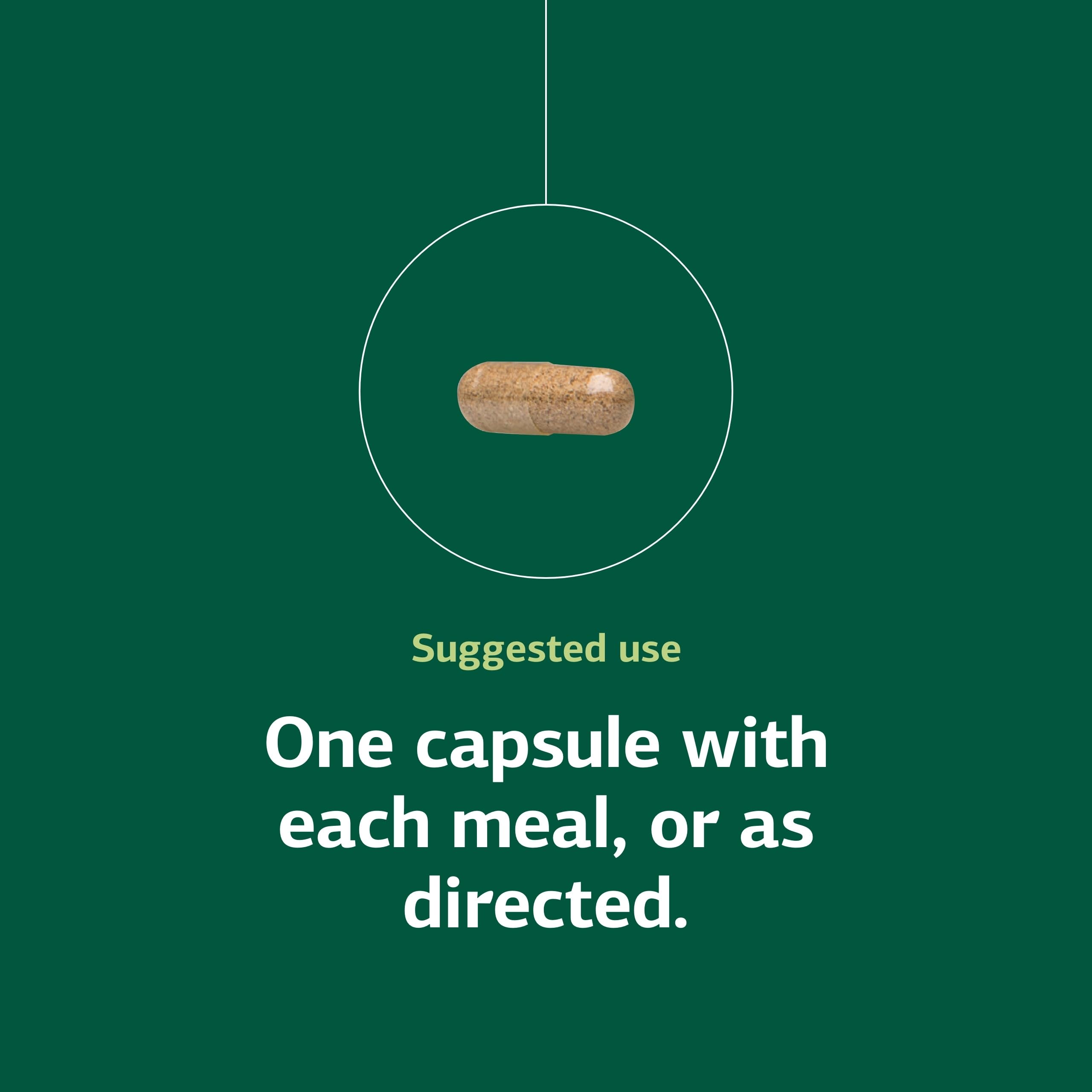Standard Process Multizyme on-the-go bottle scene emphasizes easy daily enzyme supplementation.