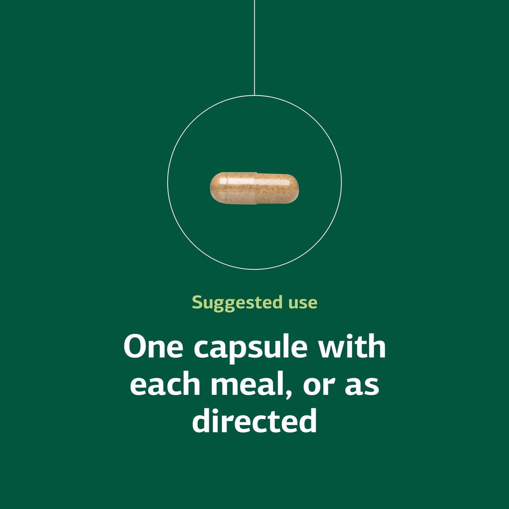 Orchex ingredients panel with soy and wheat germ.