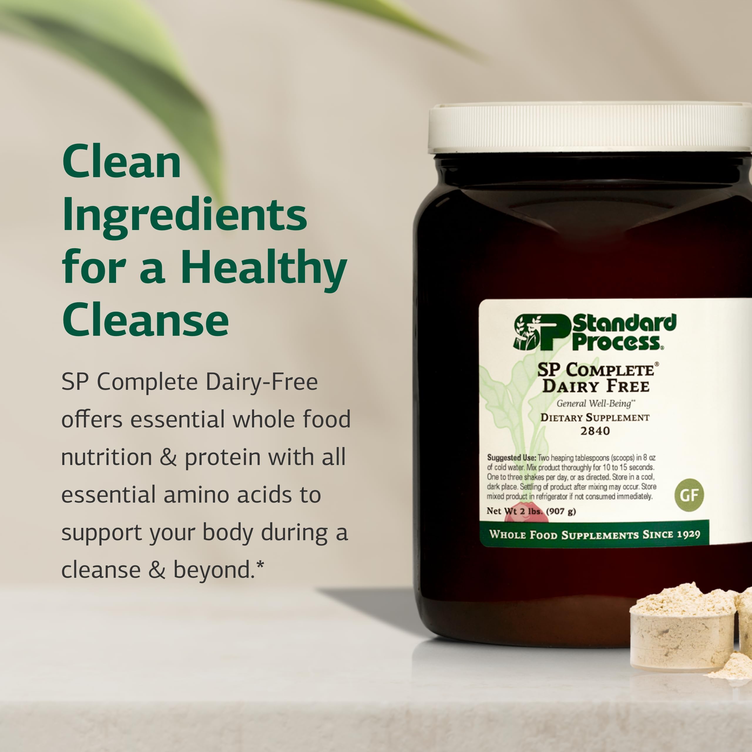 Ingredient panel and allergen information for SP Complete Dairy-Free Rice Protein Powder