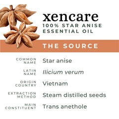 Star Anise Essential Oil glass bottle with dropper