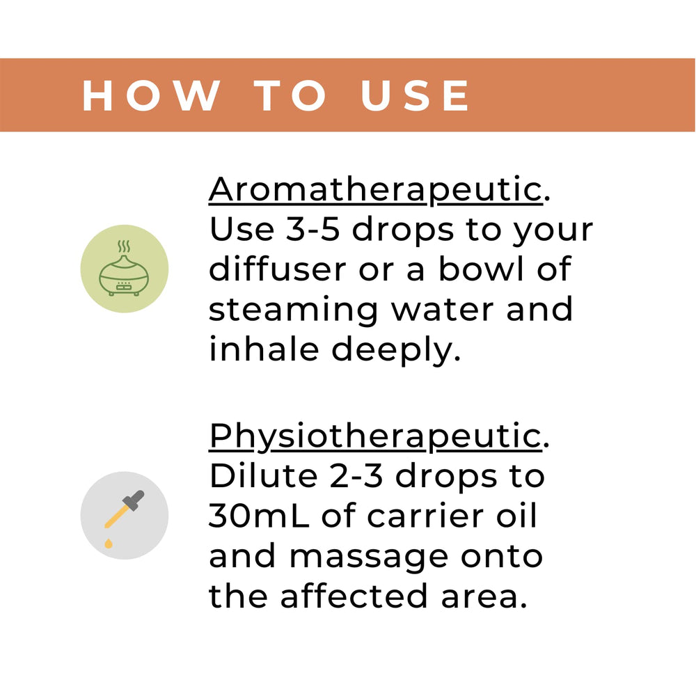 Star Anise Essential Oil bottle beside natural ingredients
