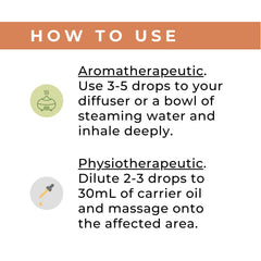Star Anise Essential Oil bottle beside natural ingredients