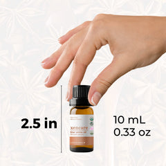 Top view of 10ml Star Anise Essential Oil