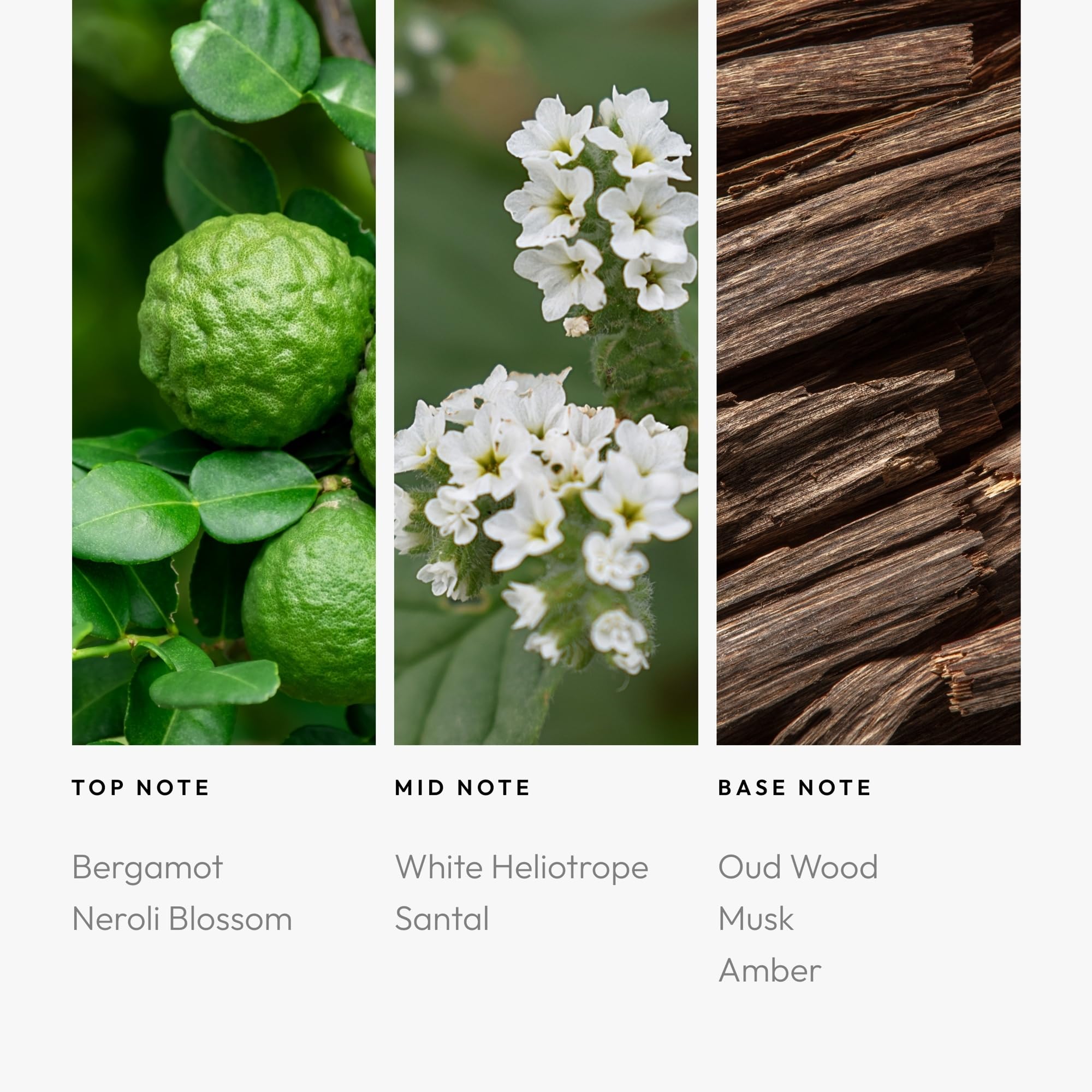Aromatherapy diffuser with Stargazing oil in a modern living space