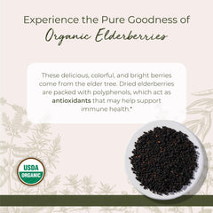 Starwest Botanicals Organic Elderberries for immune-support teas and jams.