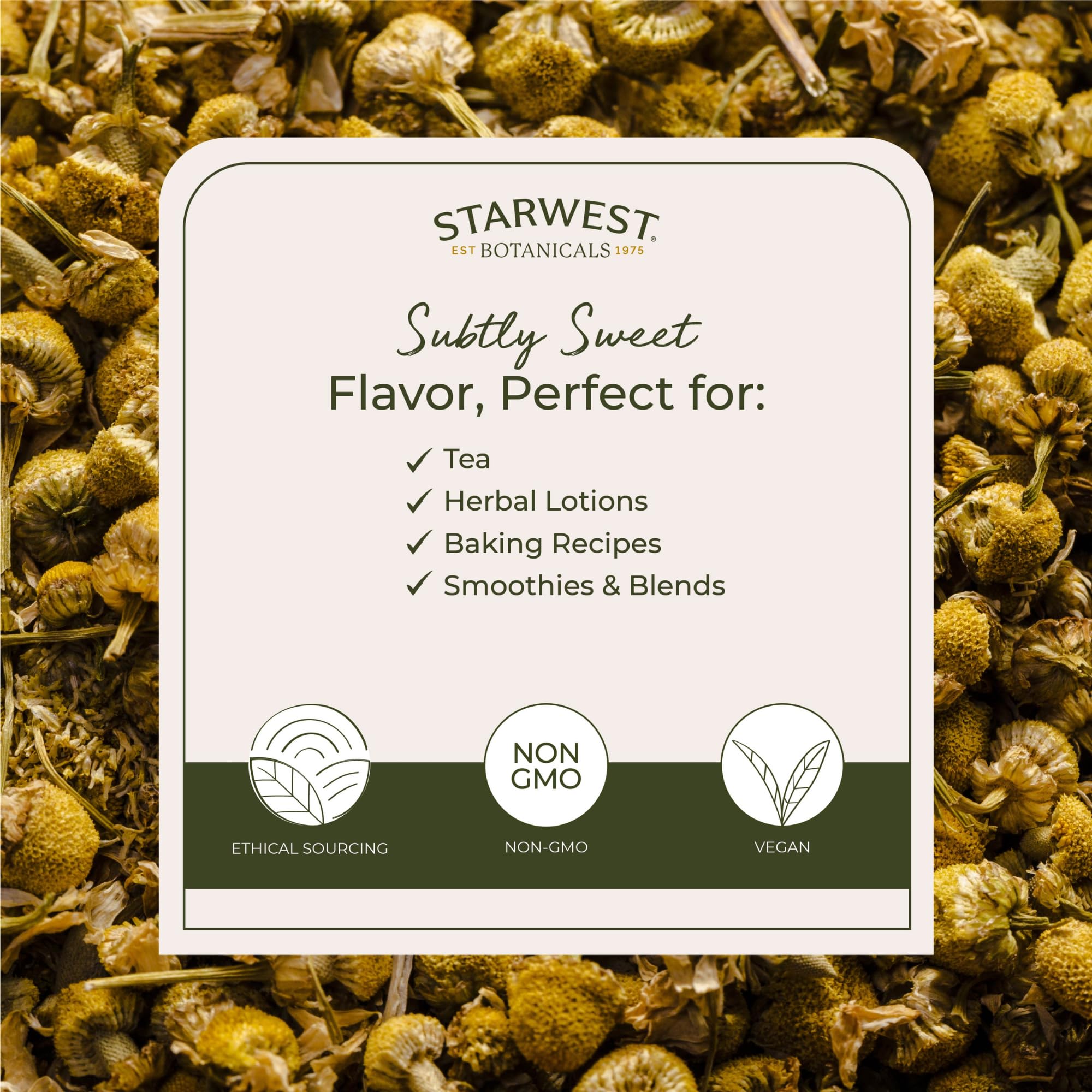 Chamomile flowers sourced from Egypt
