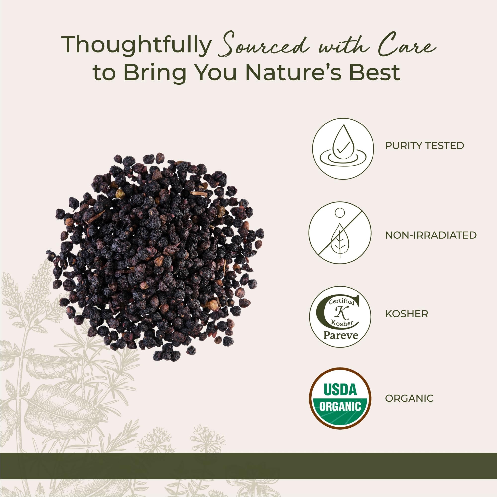 Elderberries used for tea and syrup