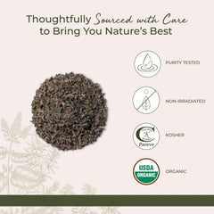 USDA Organic and non-GMO ginkgo leaf with clean processing
