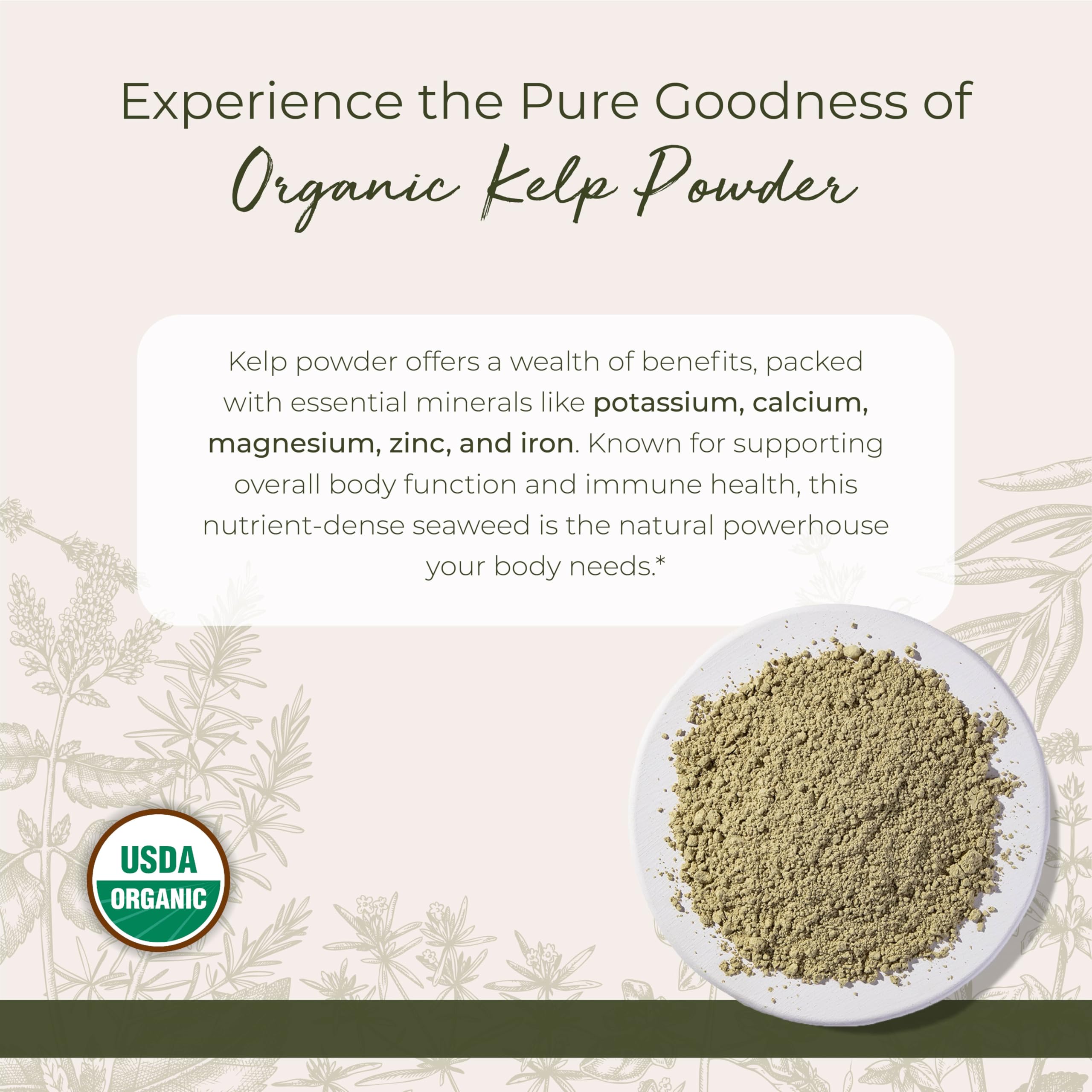Close-up texture of organic kelp powder