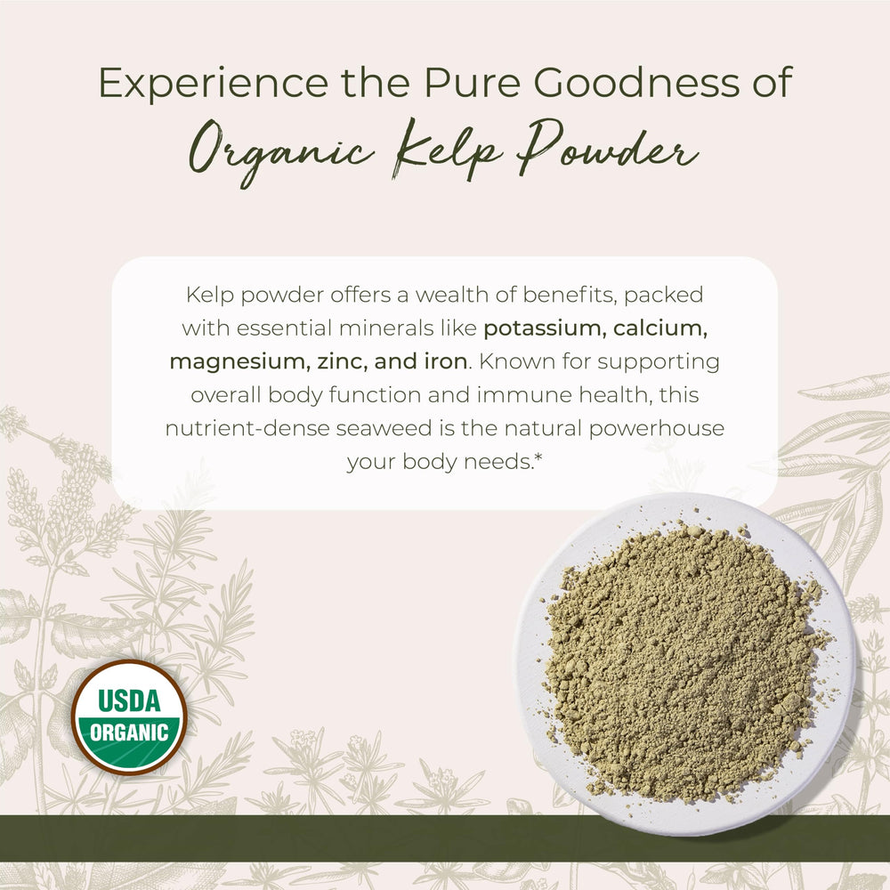 Close-up texture of organic kelp powder