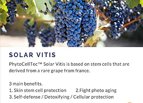 Plant-based stem cell health therapy formulation