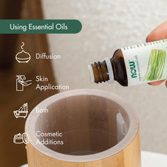 Steam distillation process for eucalyptus oil