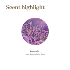Steam distillation equipment for lavender oil