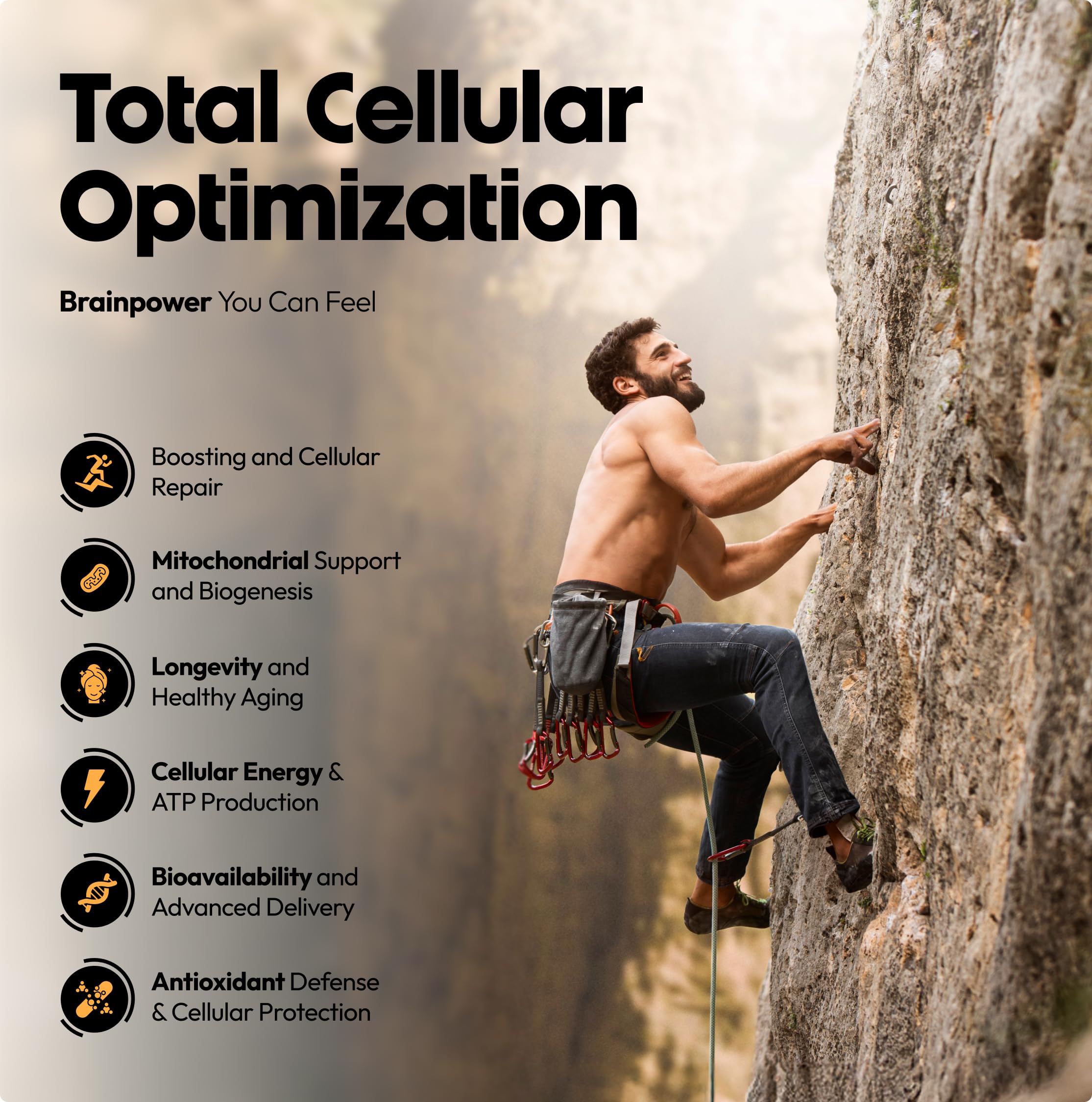 Stellar Health BioPerine inclusion shown for improved nutrient absorption