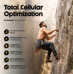 Stellar Health BioPerine inclusion shown for improved nutrient absorption