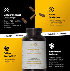 Stellar Health Shilajit resin detail highlighting mineral-rich source and vitality synergy
