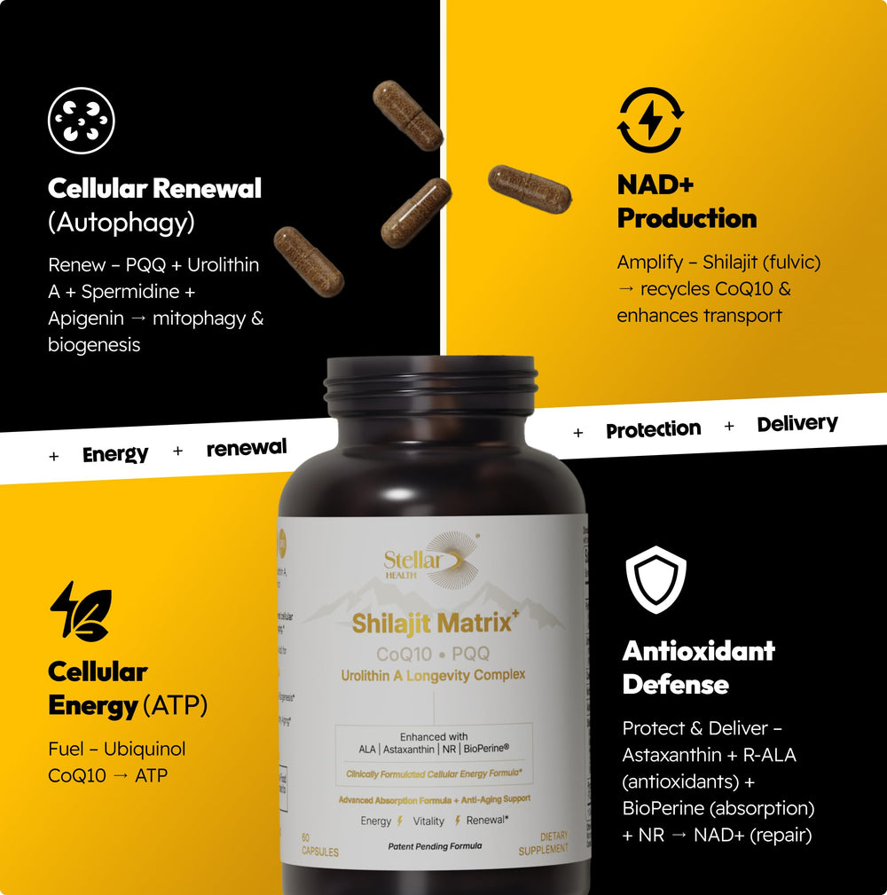 Shilajit extract with minerals and fulvic acid