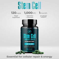 Boosted immune function and health vitality concept