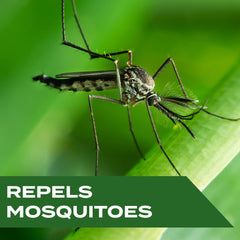 STEM Repels Mosquitoes pack of 3 bottles on a table for family use