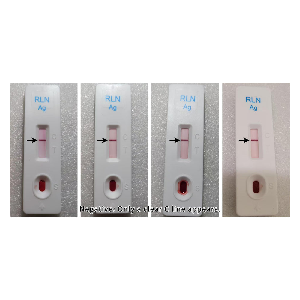 Clear step-by-step guide for dog pregnancy testing