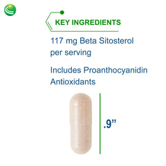 Sterol 117 capsules close-up