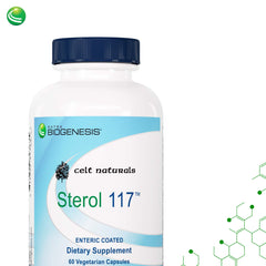Pine bark extract capsules for Sterol 117 with 90% proanthocyanidins