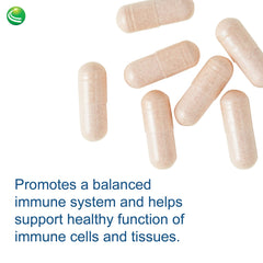 Sterol 117 vegetarian capsules on white background