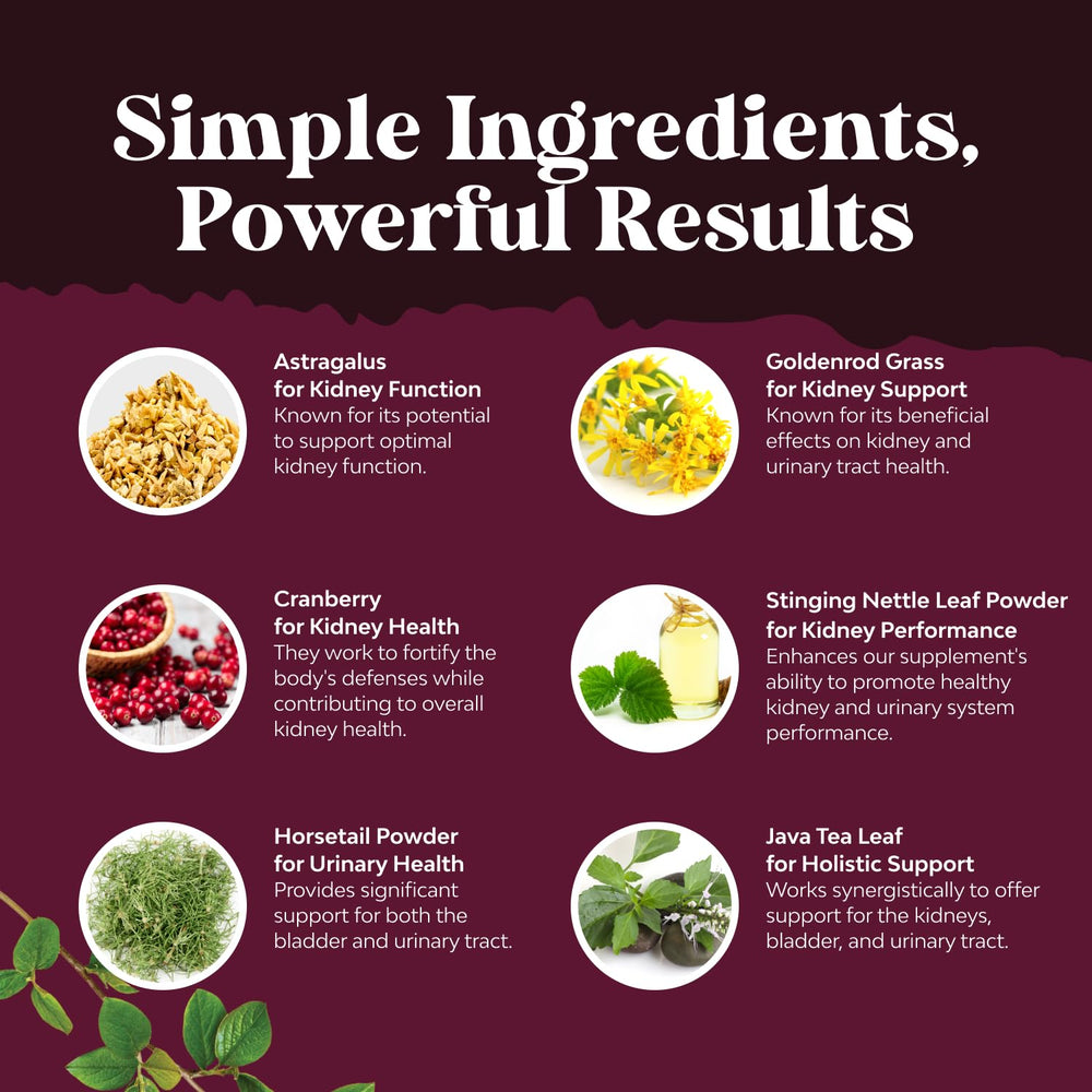 Stinging nettle and astragalus in kidney health blend