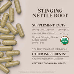 Vegetarian capsules container for stinging nettle root