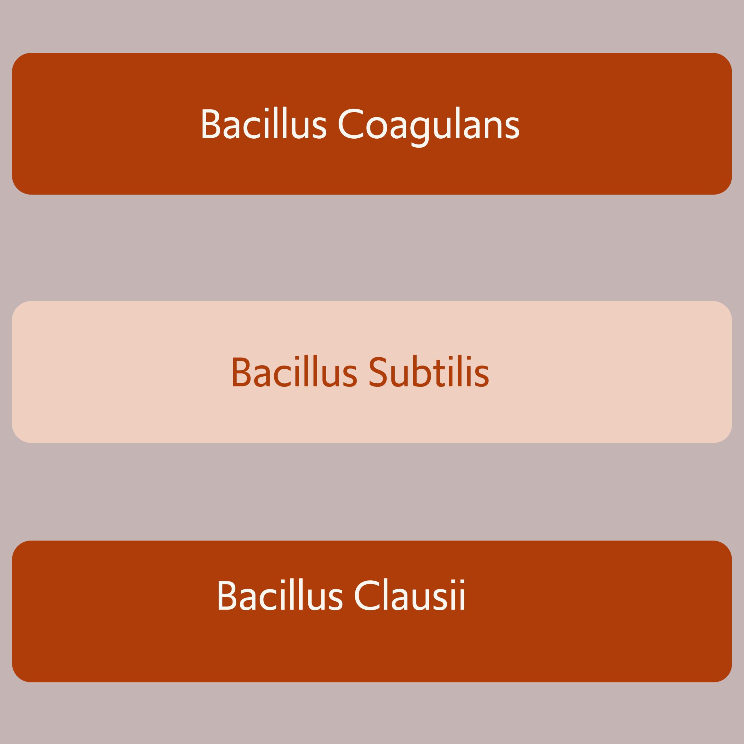Icon illustrating stomach acid survival