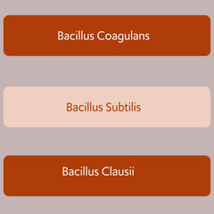 Icon illustrating stomach acid survival