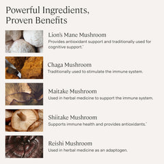 Lion's Mane mushrooms close-up representing cognitive support potential.