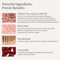 Stonehenge Health Antarctic waters visual; sustainably sourced krill oil with freshness.