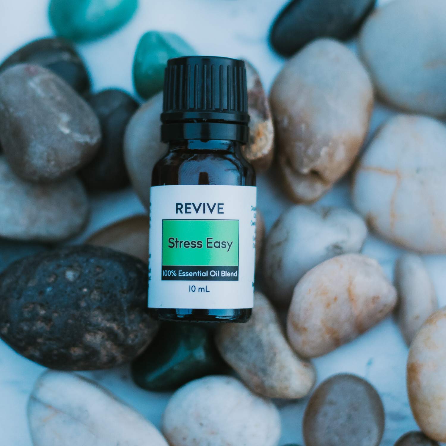 Illustration of Stress Easy blend ingredients: Copaiba, Lime, Cedarwood, Vanilla, Ocotea, Lavender