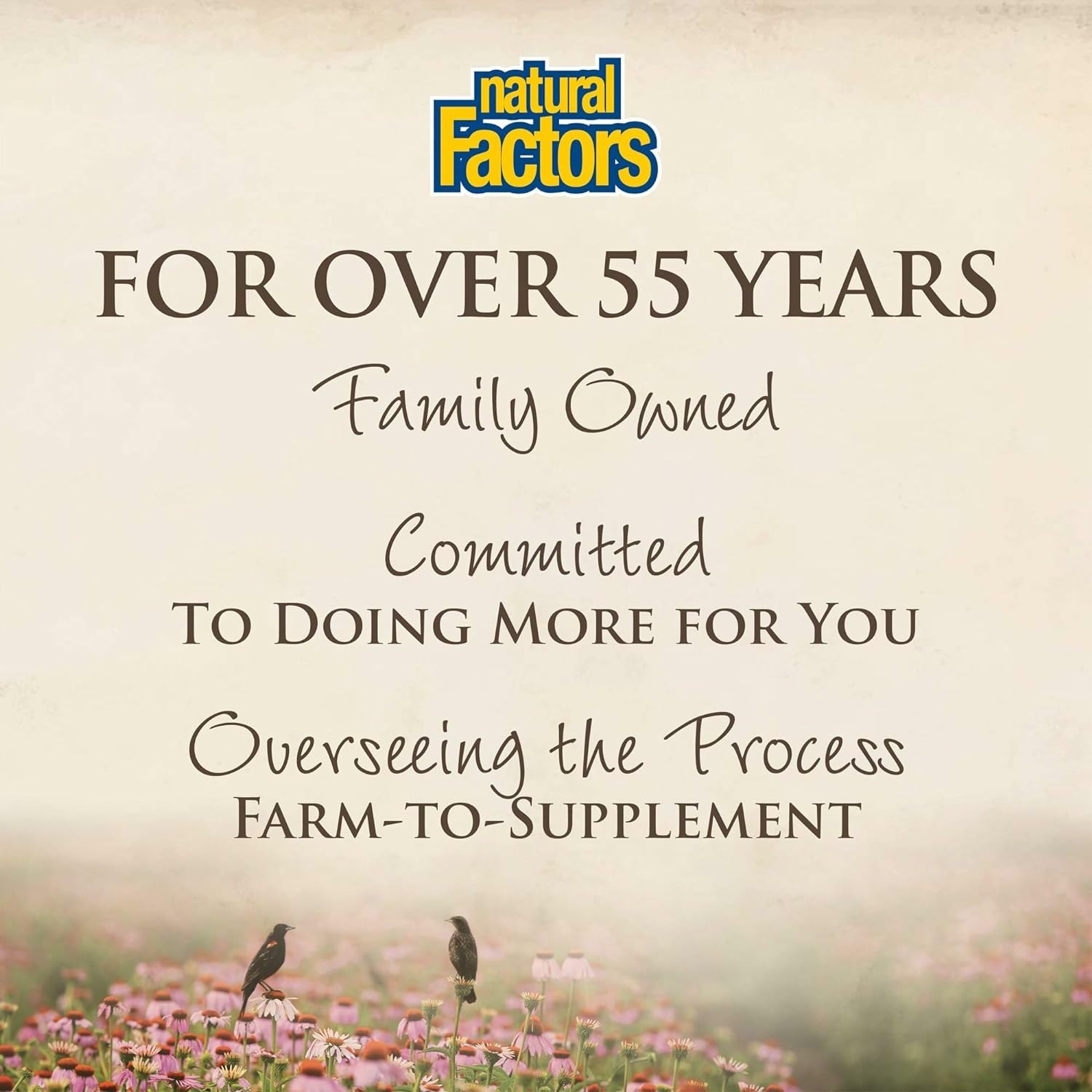 Calm and restful sleep lifestyle scene