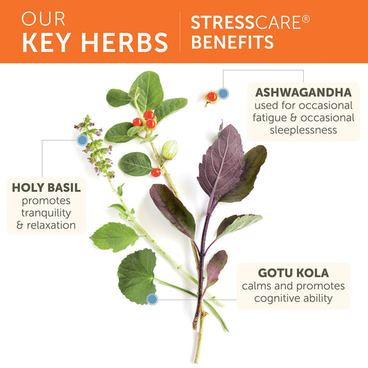 Herbal blend of Ashwagandha, Tulsi (Holy Basil), and Gotu Kola in StressCare
