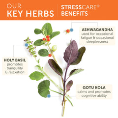 Herbal blend of Ashwagandha, Tulsi (Holy Basil), and Gotu Kola in StressCare