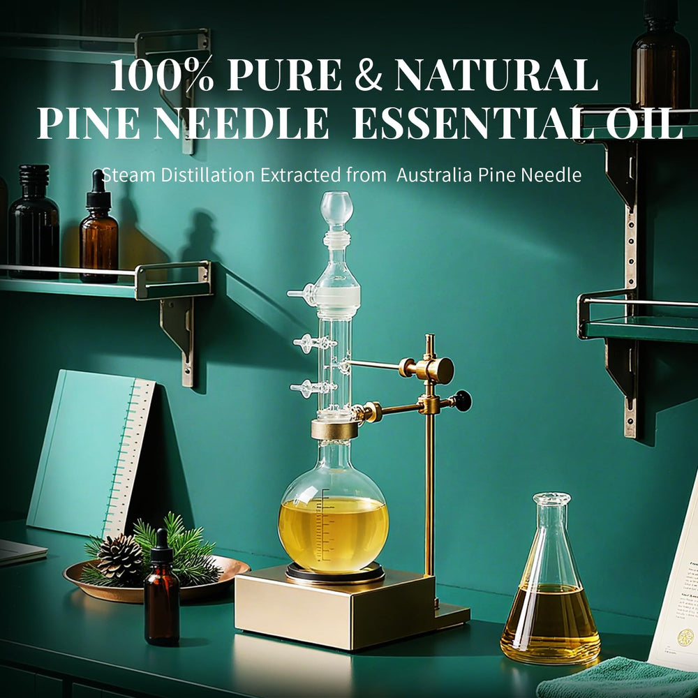 Pine needle essential oil applied to scalp for hair care