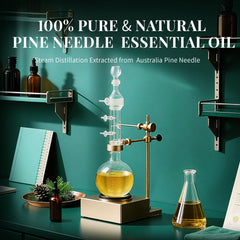 Pine needle essential oil applied to scalp for hair care