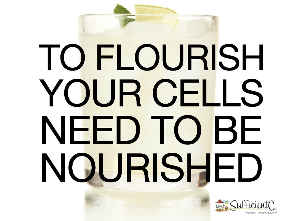 Travel-friendly size for immune support on the go