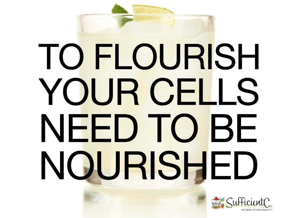Travel-friendly size for immune support on the go