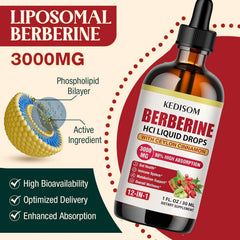 Close-up of sugar-free berberine liquid drops.