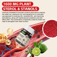 Close-up of sugar-free cholesterol gummies