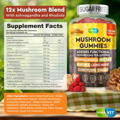 Sugar-free energy mushroom gummies