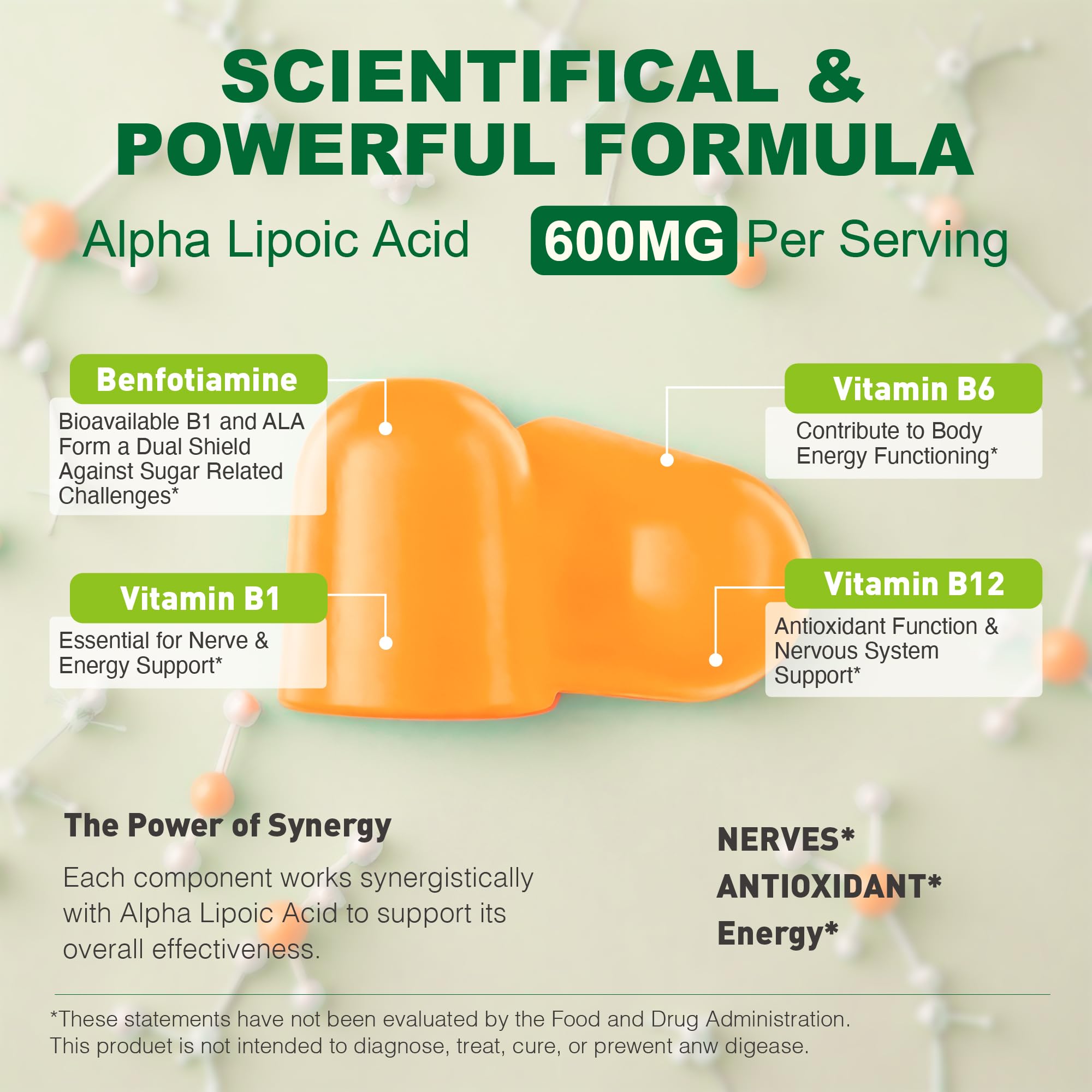 Supplement facts for ALA with Benfotiamine and B vitamins