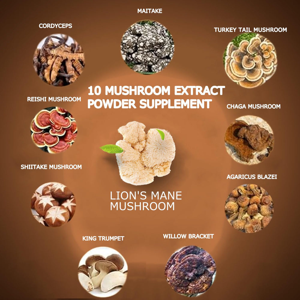 Close-up of mushroom ingredients for the 10 mushroom blend